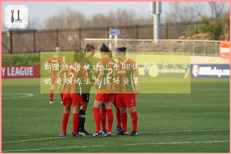 新手如何快速上手ng体育平台入口的游戏玩法与技巧分享