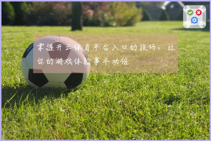 掌握开云体育平台入口的技巧，让你的游戏体验事半功倍