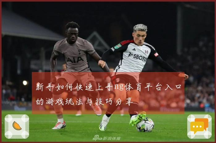 新手如何快速上手ng体育平台入口的游戏玩法与技巧分享